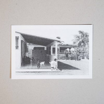 Esther carte postale les voisines